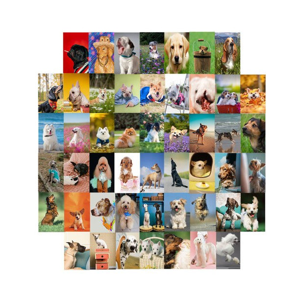 50pcs/set Wall Collage Aesthetic Photo Postcard Art Pictures Collage