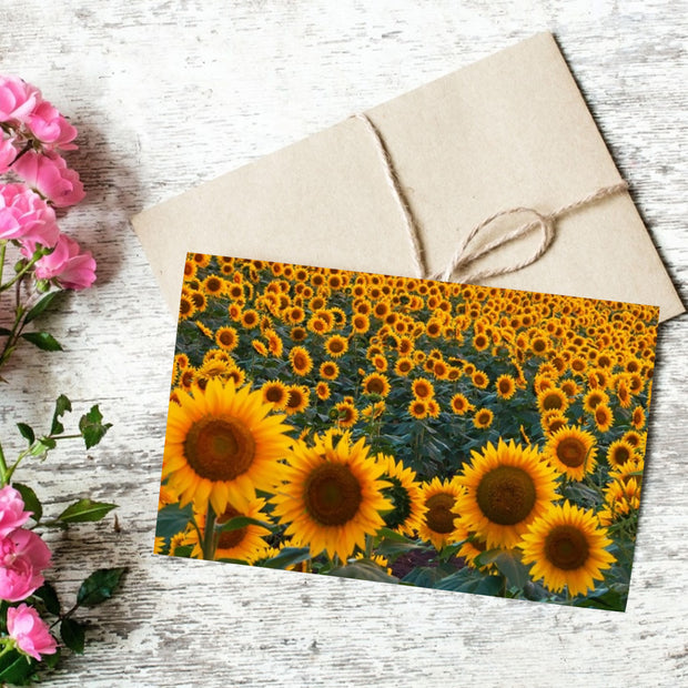 50pcs/set Wall Collage Aesthetic Photo Postcard Art Pictures Collage