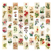 50pcs/set Wall Collage Aesthetic Photo Postcard Art Pictures Collage