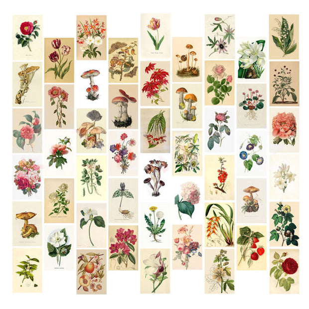 50pcs/set Wall Collage Aesthetic Photo Postcard Art Pictures Collage