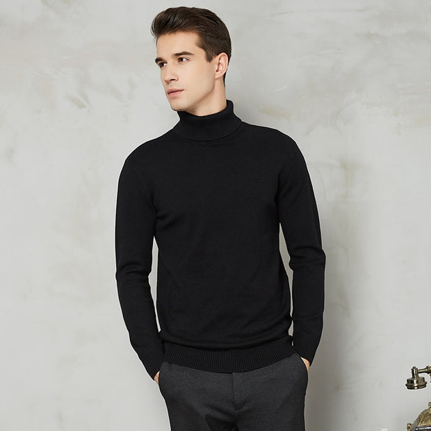 8 Color Turtleneck Sweater